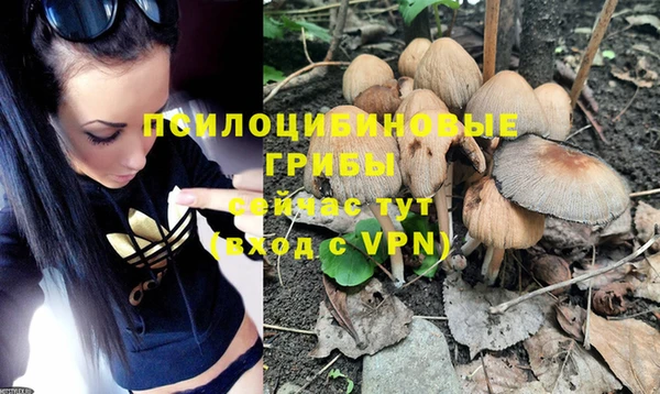 мдпв Гусиноозёрск