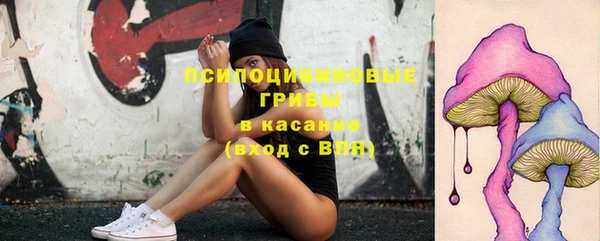 мдпв Гусиноозёрск