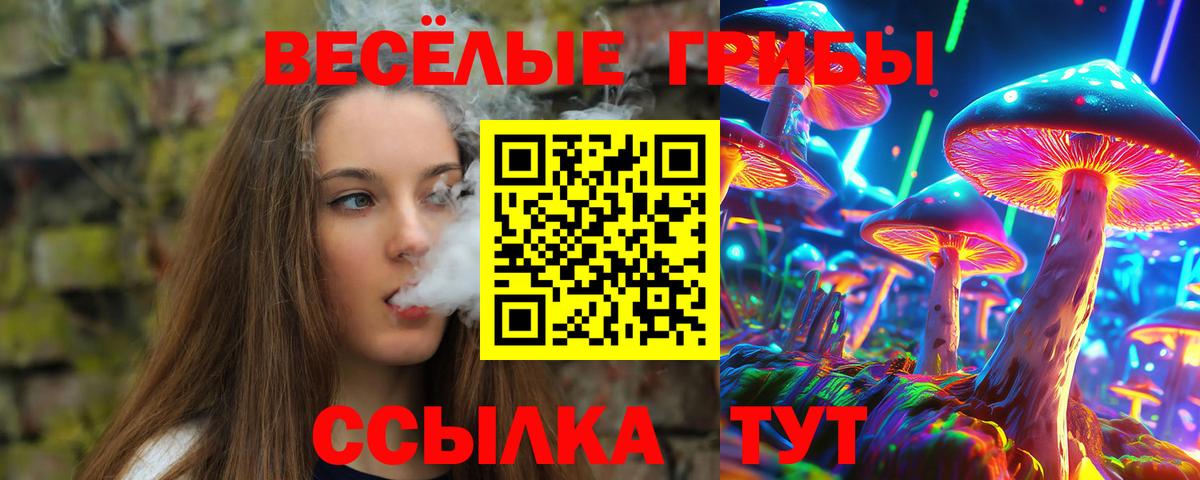 Псилоцибиновые грибы прущие грибы Саяногорск