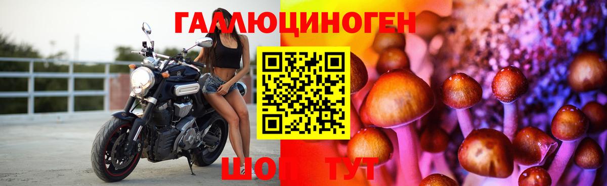Галлюциногенные грибы мухоморы  продажа наркотиков  Саяногорск  Вход с VPN 